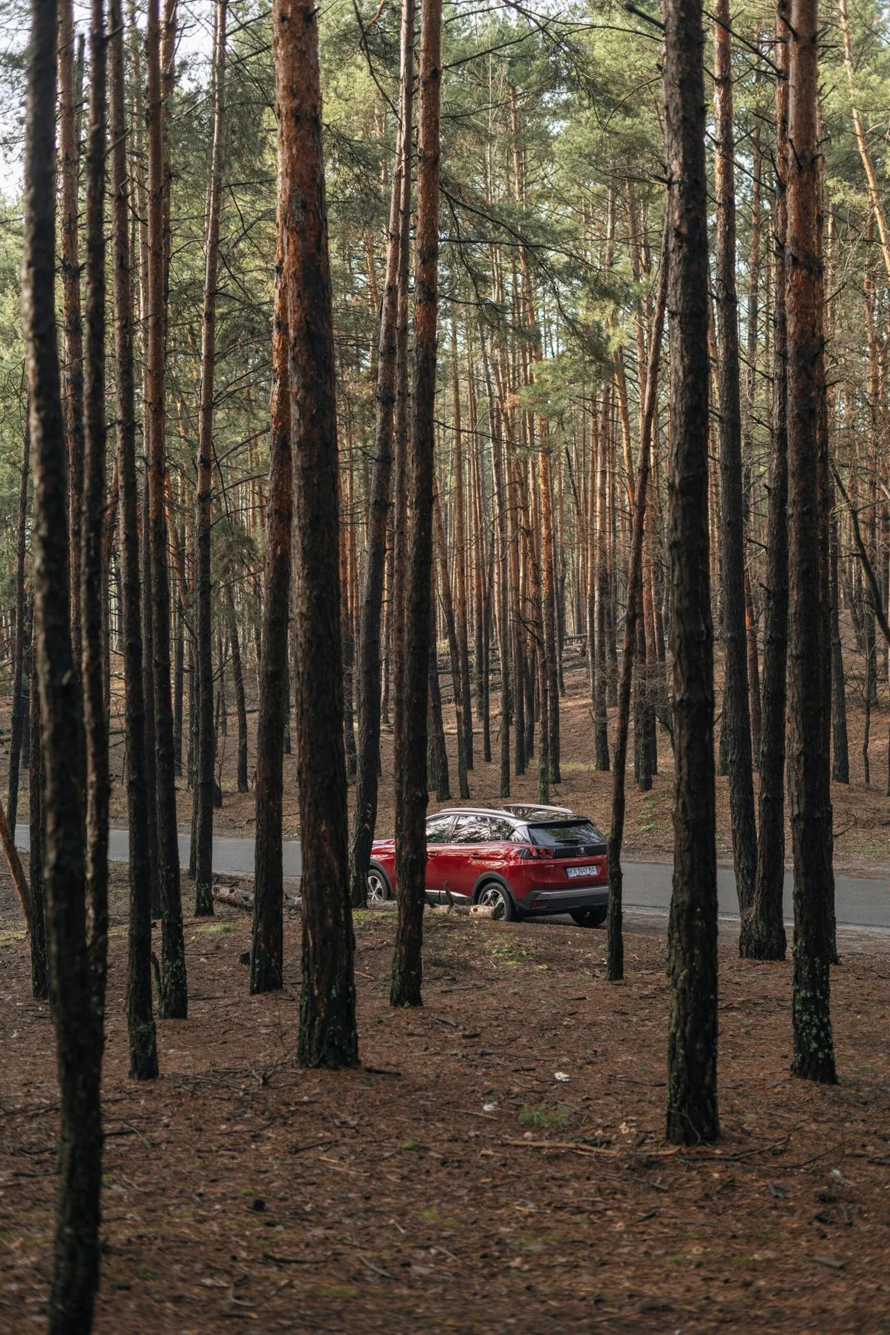 Automotive fotografie bij De voordelen van auto-import voor expats in nederland